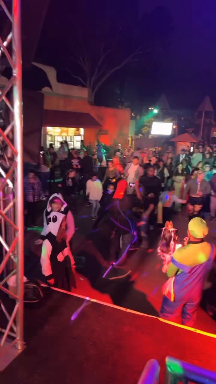 Massive crowd at DJ Nessa outdoor special event